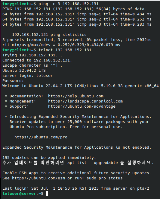 Client에서 텔넷 서버에 접속한 모습