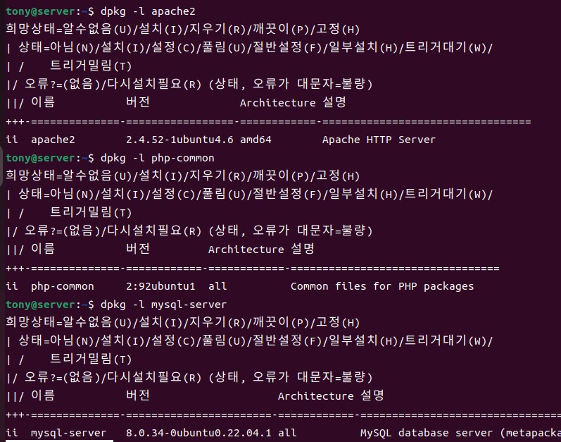 APM 모두 정상적으로 설치 되었음
