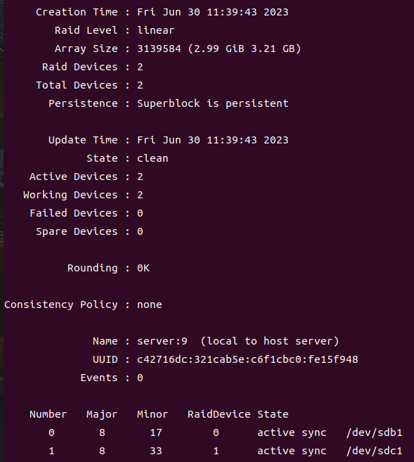 LinearRaid의 상세 정보