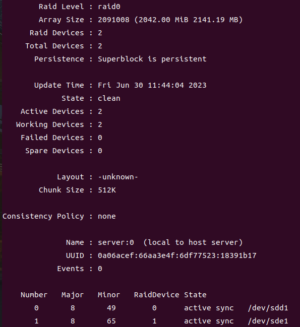 RAID0의 상세 정보