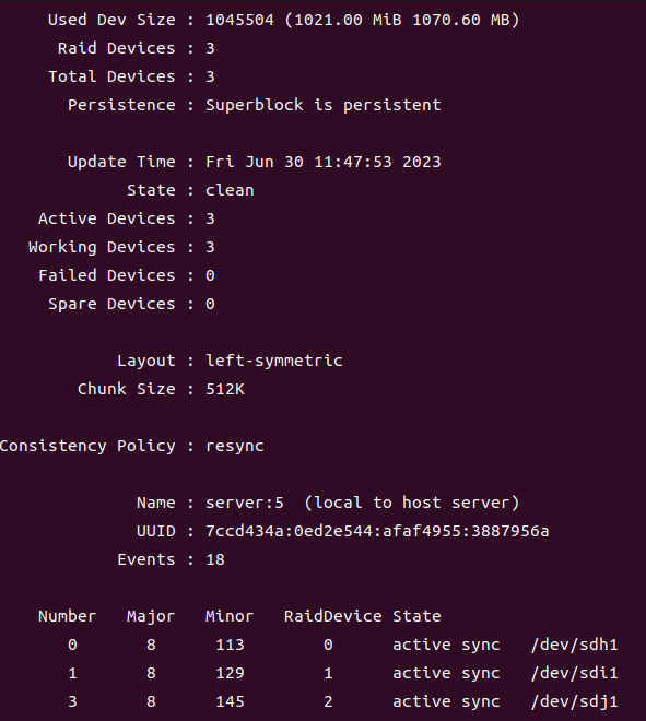RAID5의 상세 정보
