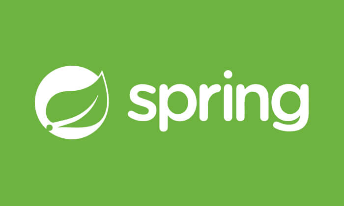 spring log